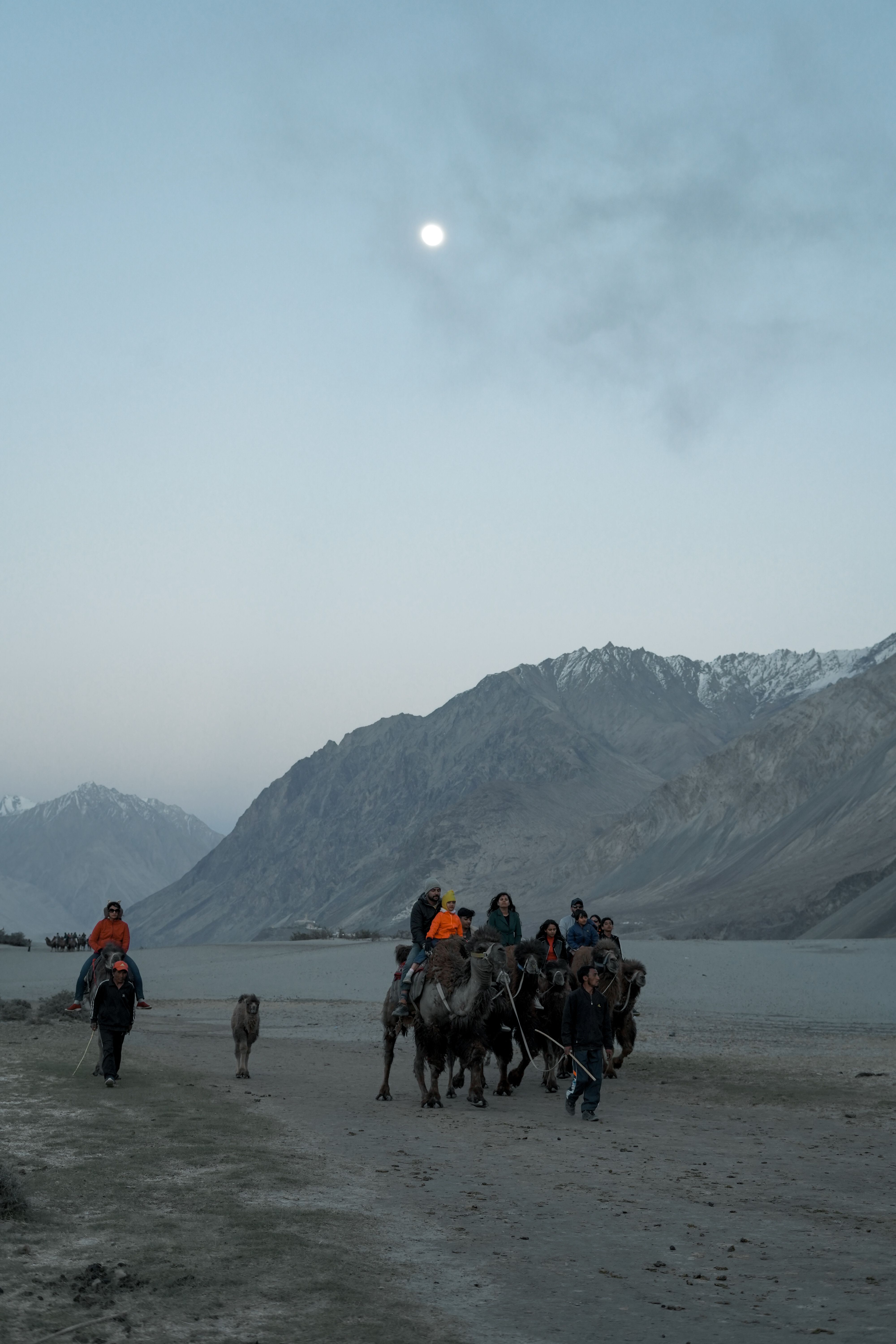 Beyond the Trek: Responsible Tourism and Horse Welfare