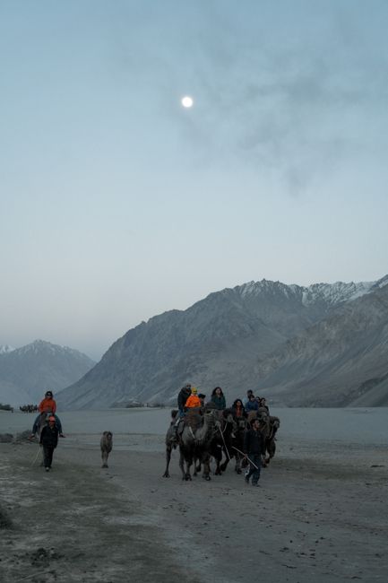 Beyond the Trek: Responsible Tourism and Horse Welfare Beyond the Trek: Responsible Tourism and Horse Welfare