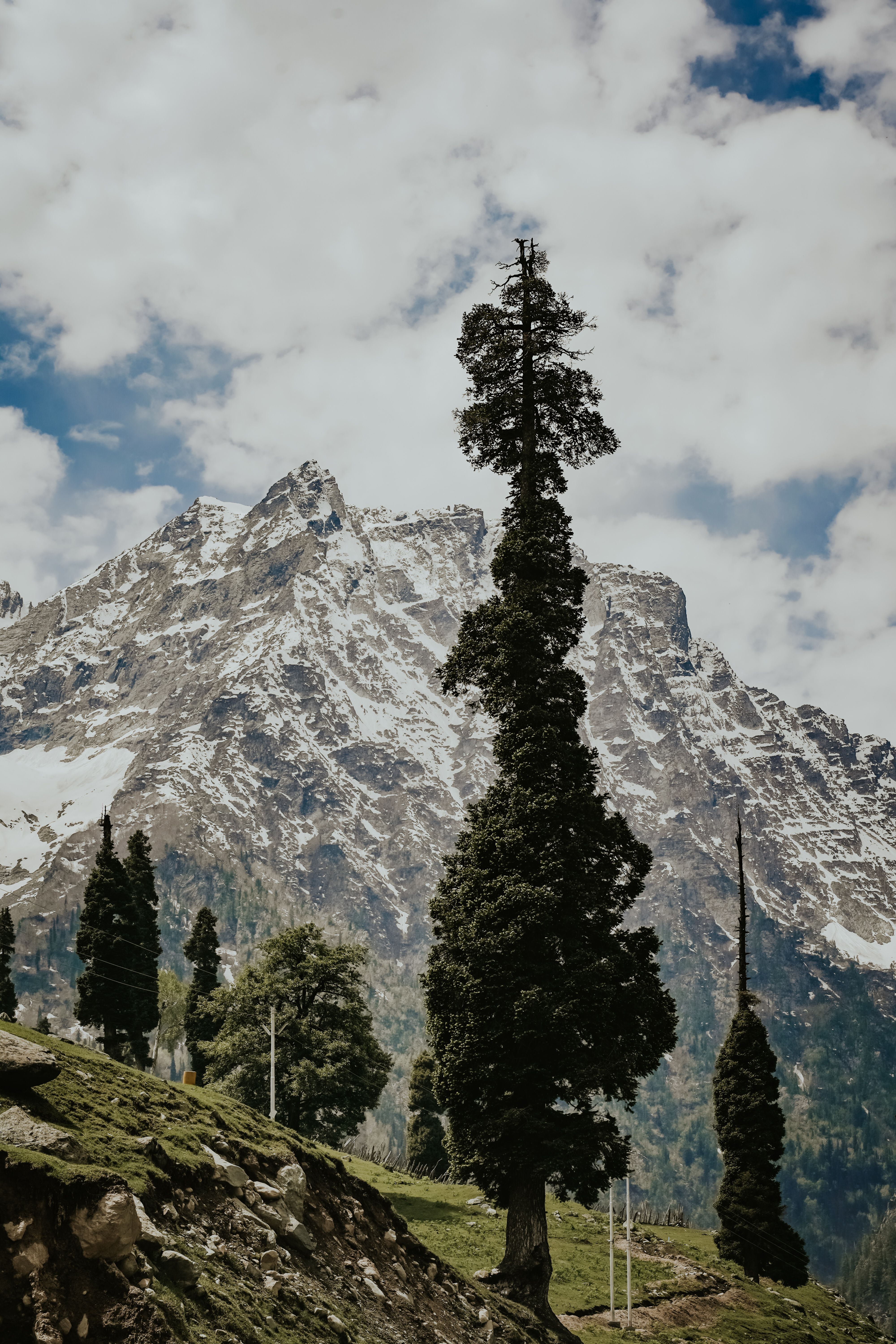 Green Trees Near Snow Covered Mountain Under White Clouds · Free Stock ...