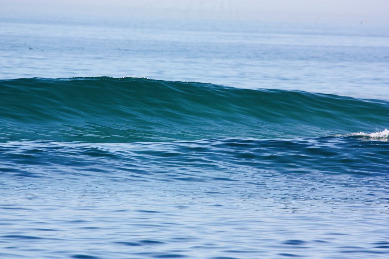 calm ocean wave rolling gently on a sunny and clear day