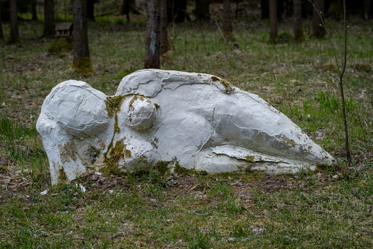  Woman Sculpture With Moss Lying On Green Grass 