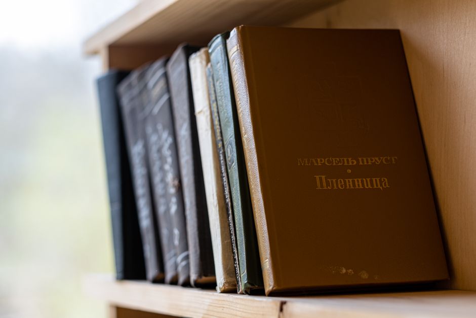 A collection of classic hardcover books on a wooden bookshelf, perfect for literary themes.