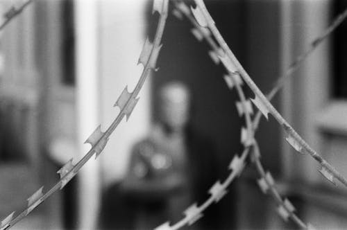 Monochrome Photography of Barbed Wires