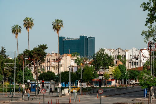 Photo of a Cityscape of a Blue Glass Building Towering over White Buildings and Palm Trees