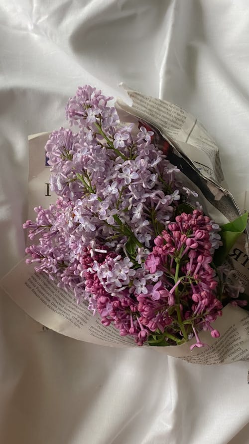 Purple Flowers on White Paper