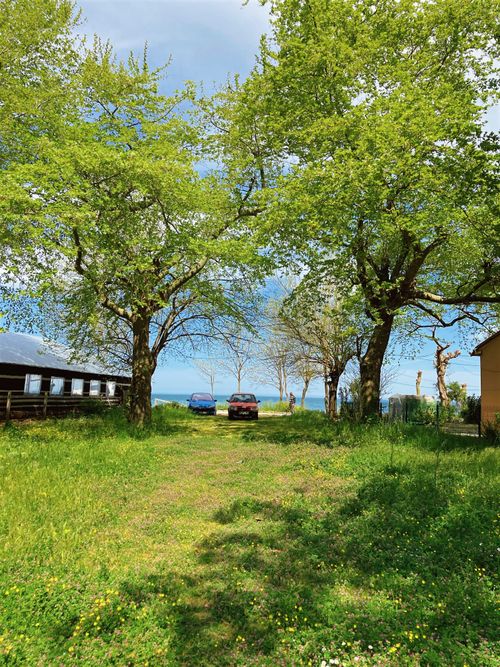 Free Beautiful rural setting with green trees and parked cars on a sunny day. Stock Photo