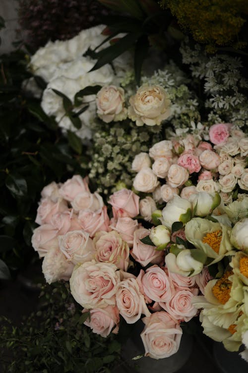 Arranged Bunches of Pale Pink Flowers