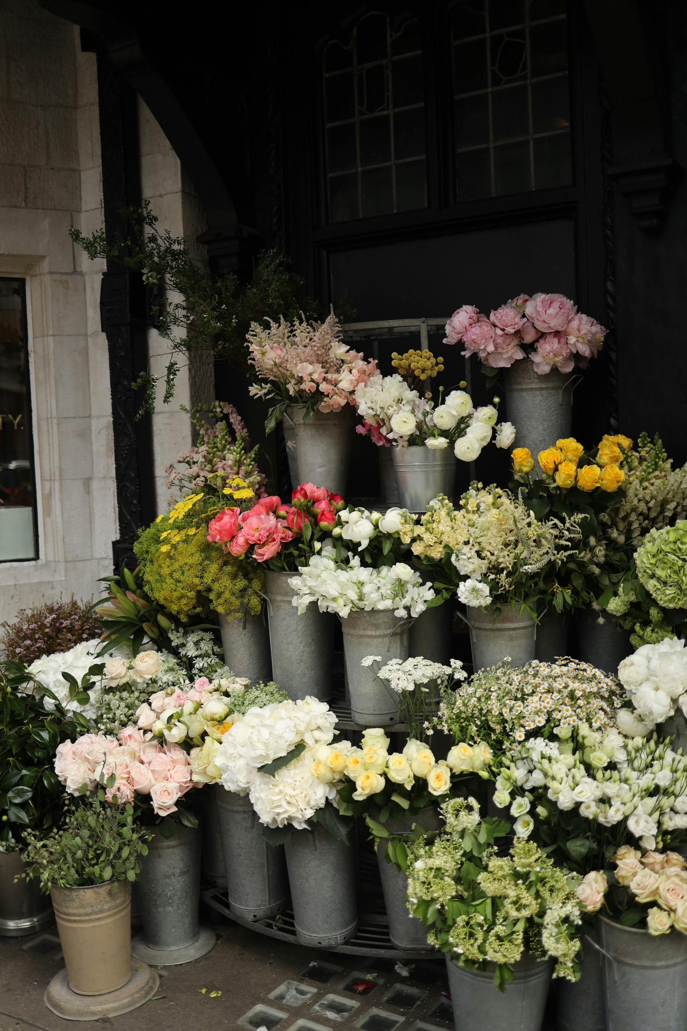 Yellow and Pink Flowers on Gray Concrete Pot