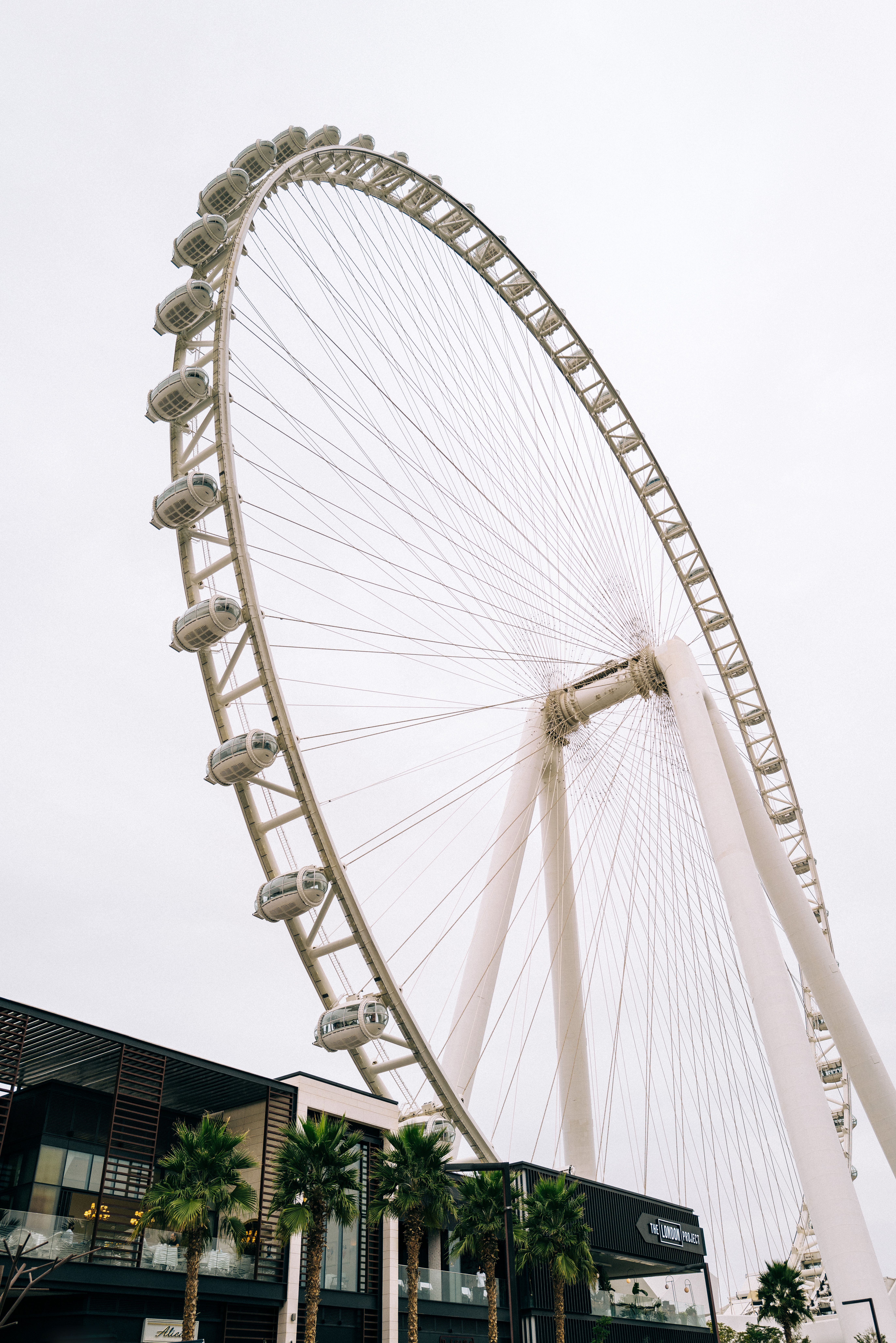 Low angle shot of the Ain Dubai Ferris Wheel with palm trees below, capturing a cloudy sky.