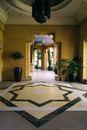 Green Potted Plant on White and Black Area Rug