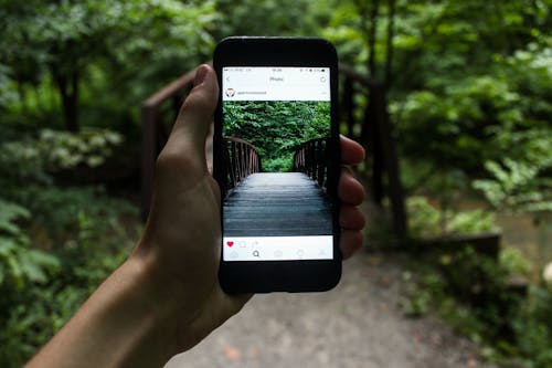 Person Hält Smartphone, Das Tagsüber Bild Der Brücke Macht