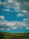 Wind Turbines on Green Grass Field Under Blue Sky