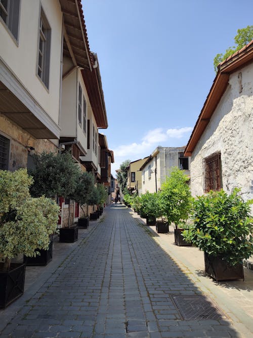 Street in a Residential Area with Potted Plants 