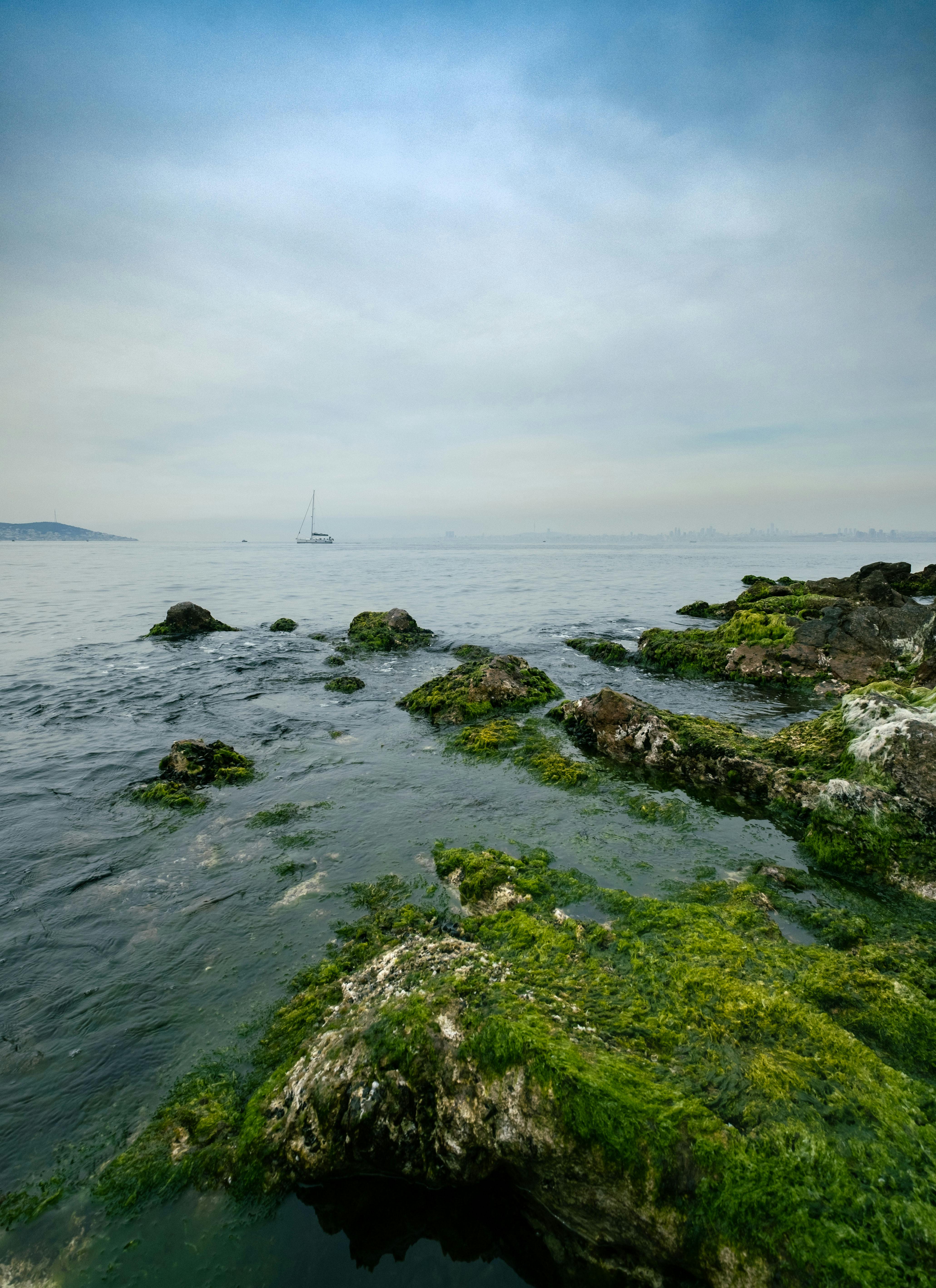 Explore the serene moss-covered rocks and calm sea off the coast of İstanbul, Turkey.