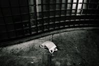 一张单色图像捕捉了城市衰败，人行道上有一个废弃的塑料袋