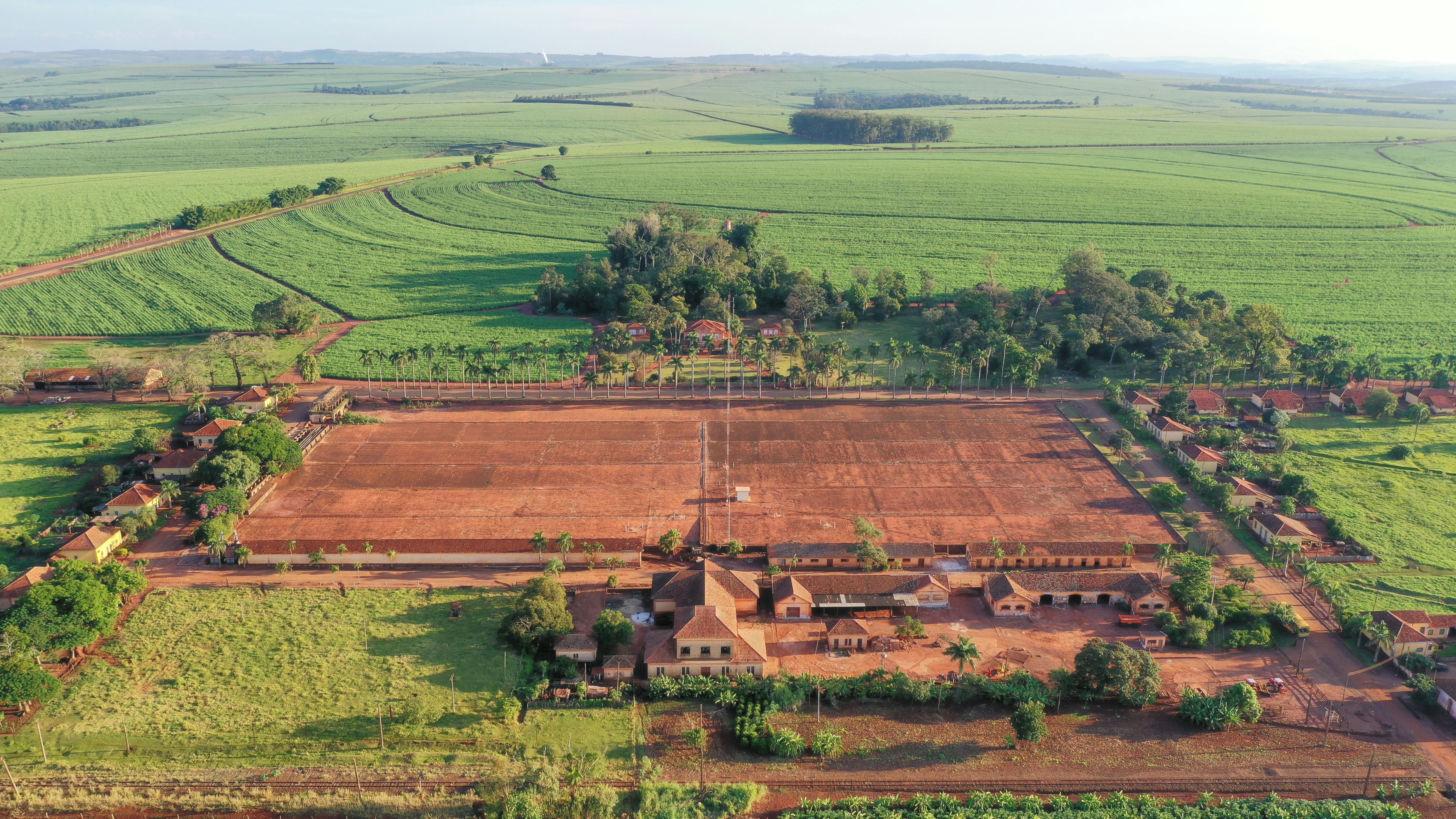 Which field in HR has highest salary?