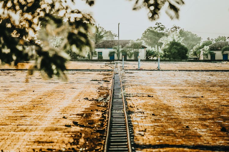 Railway Tracks On Field