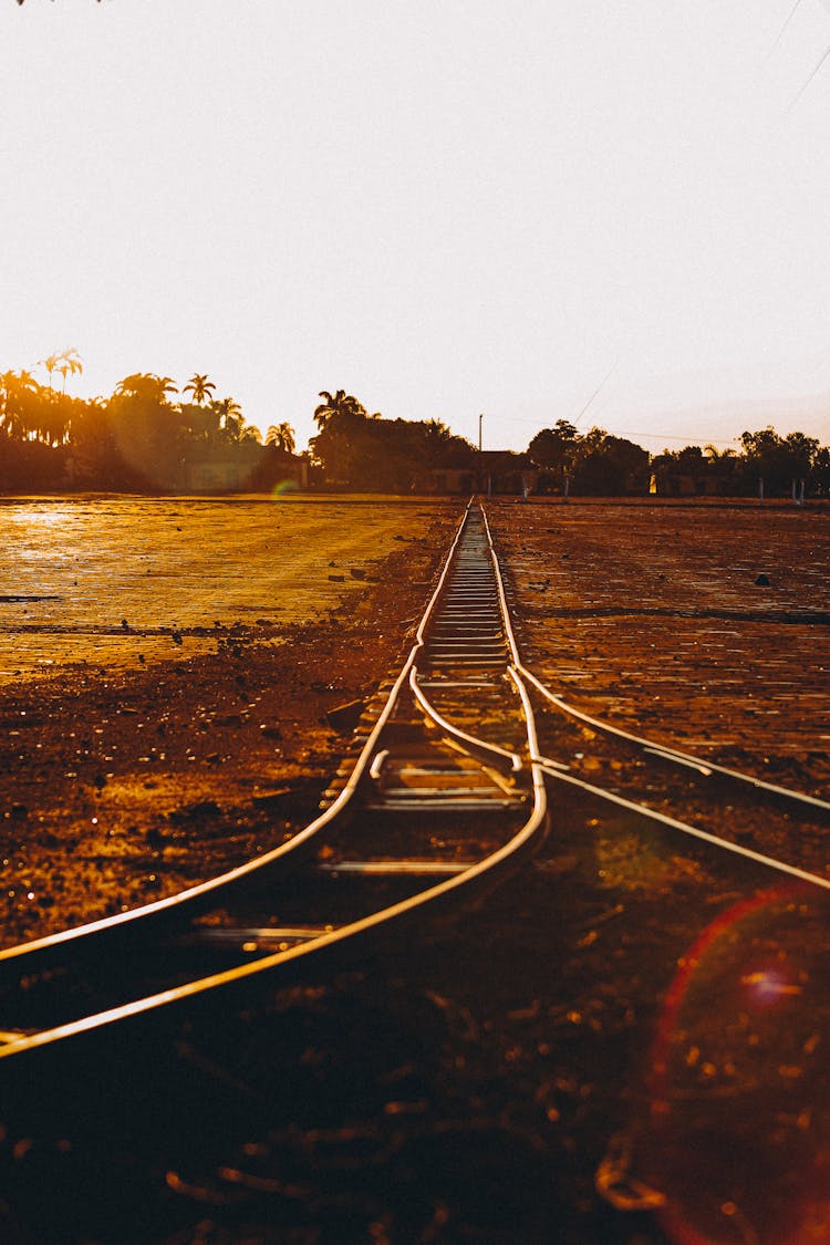 Railway Tracks At Dusk 