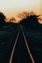 Train Rail Between Trees