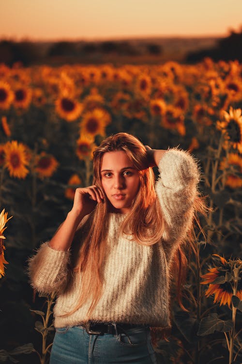 Woman in White Sweater in a Sunflower Field