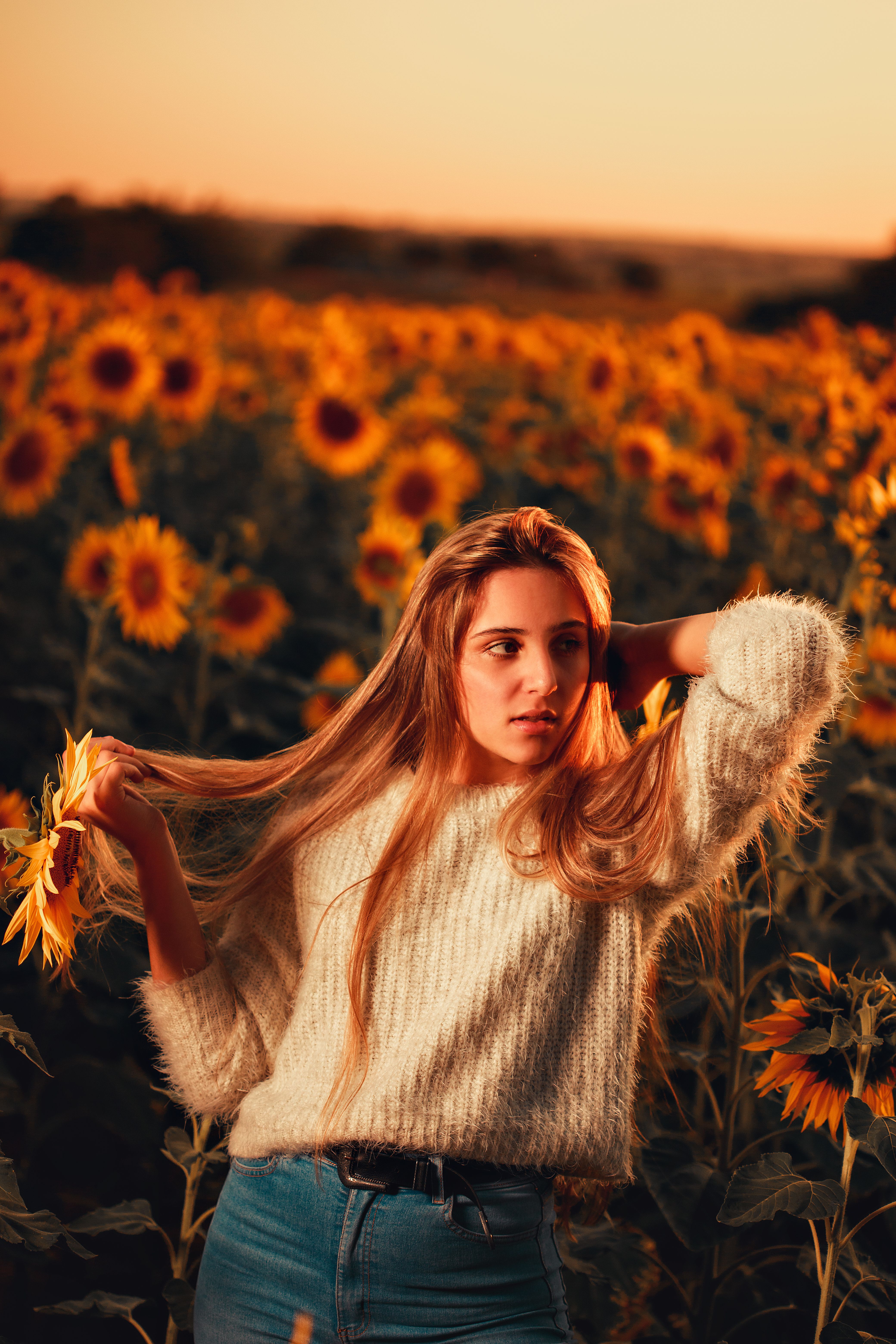 Woman in White Sweater in a Sunflower Field · Free Stock Photo