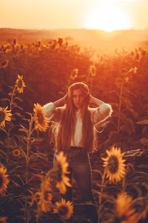 Woman in White Sweater in a Sunflower Field