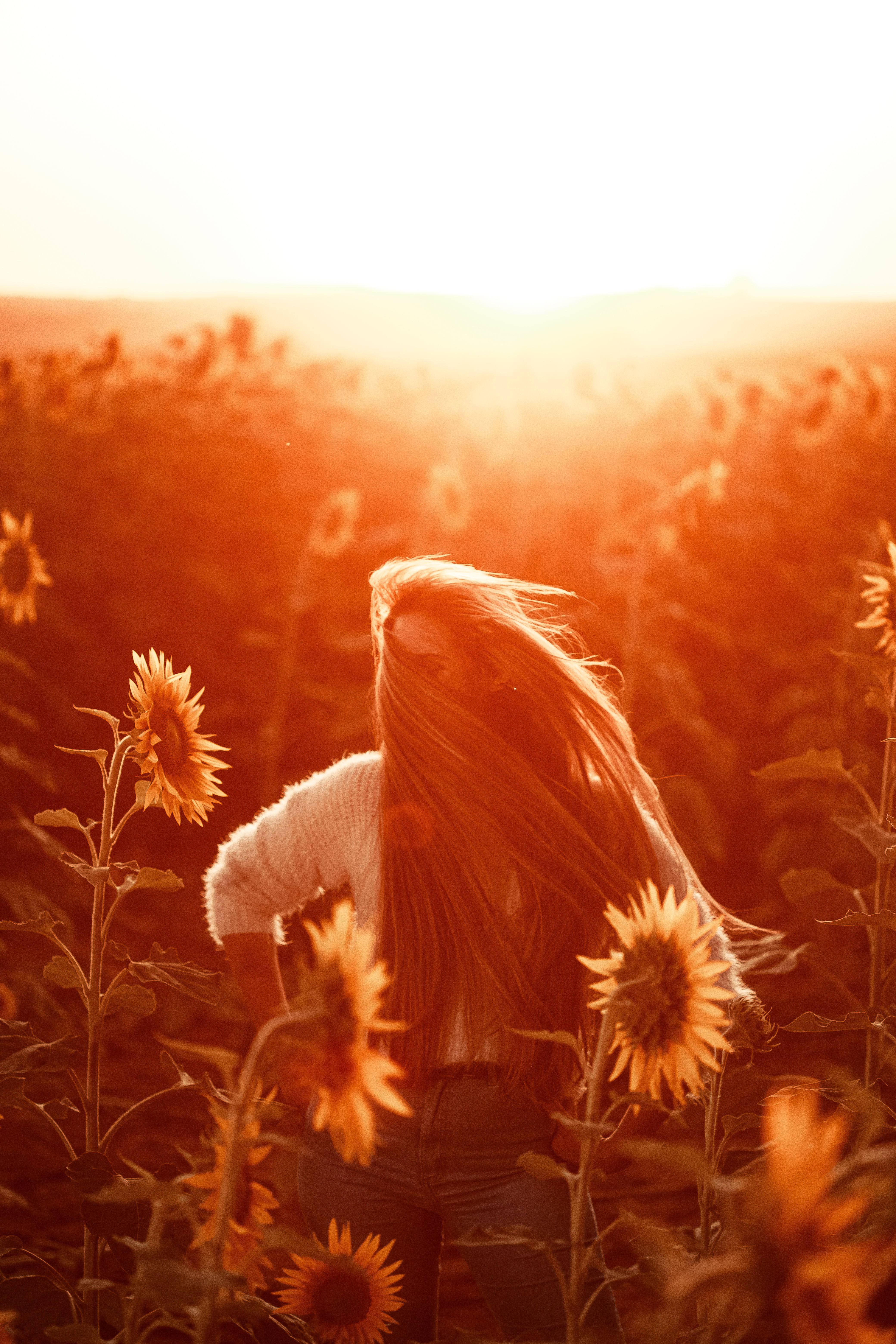 Beautiful Woman with Long Hair standing on a Sunflower Field · Free ...