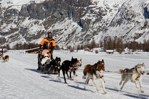 Experience thrilling dog sledding in breathtaking snowy mountain landscapes.