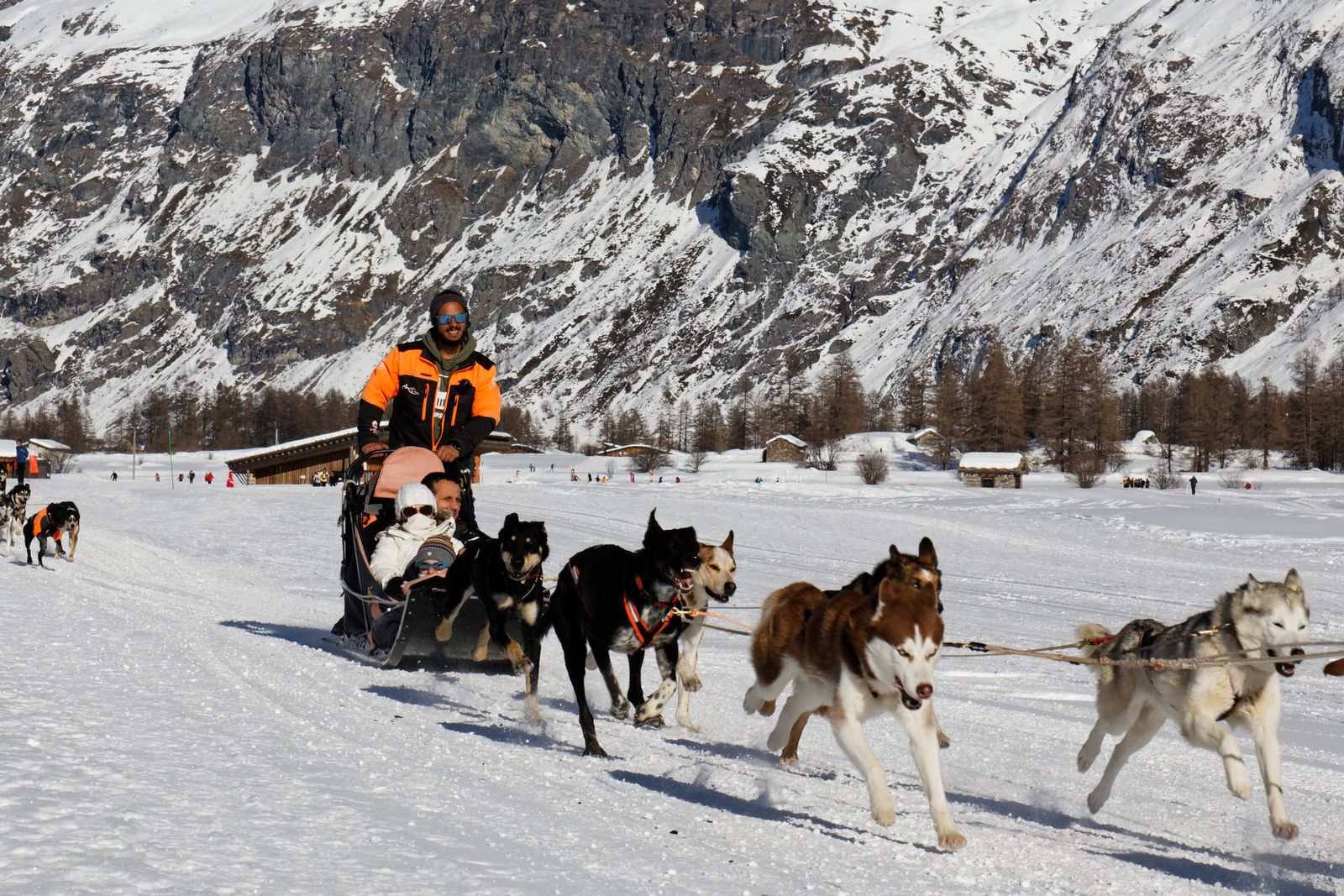 Trineo de perros en Laponia, Finlandia