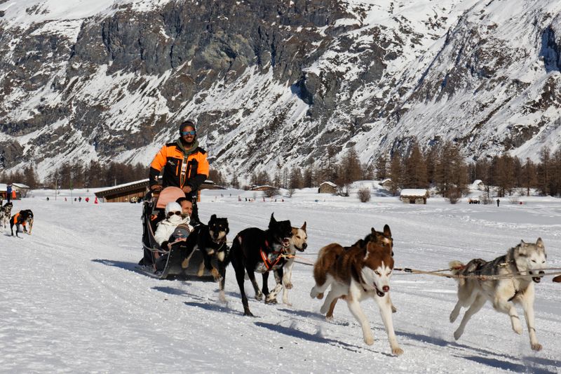 Trineo de perros en Laponia, Finlandia