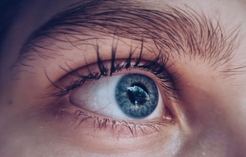 Free Macro photograph capturing the intricate details of a blue eye with natural reflections. Stock Photo