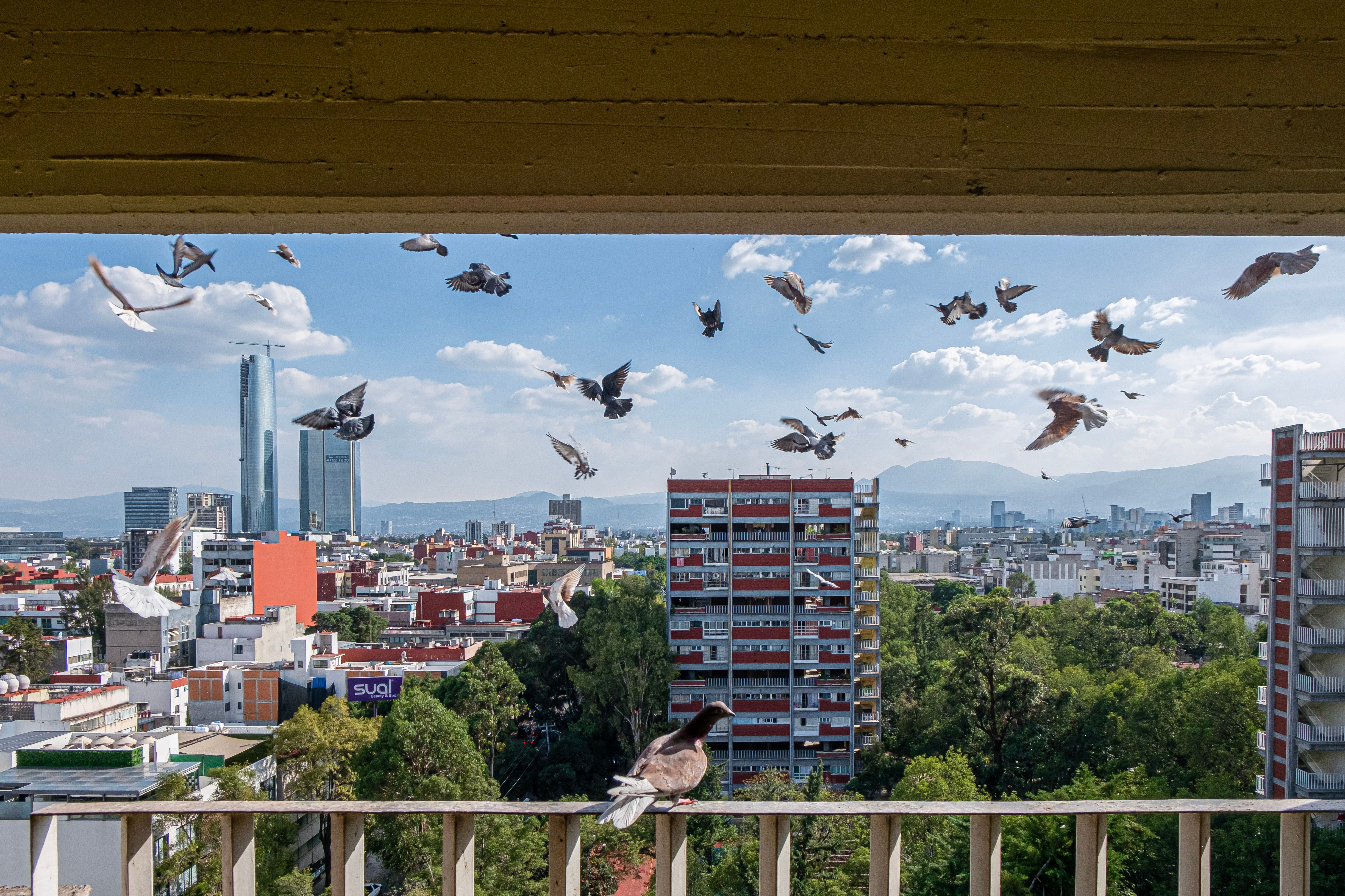 Terraza en una ciudad española con código QR visible