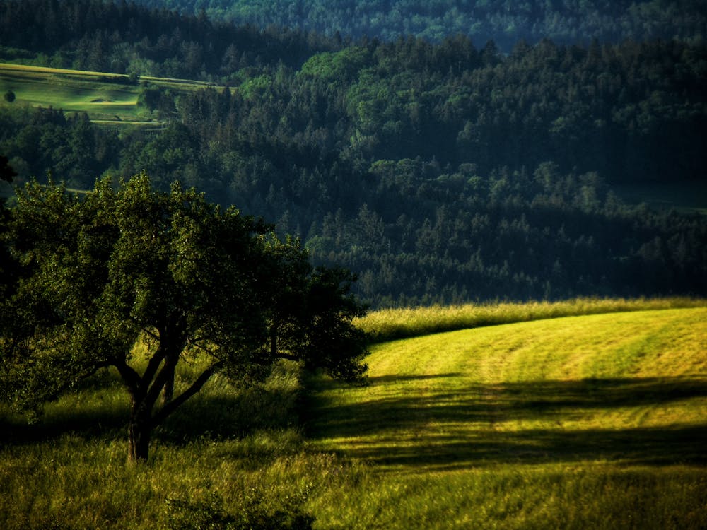 Fotobanka s bezplatnými fotkami na tému dedinský, exteriéry, farma