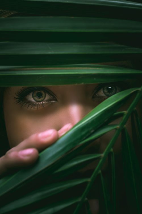 Free A captivating close-up of a woman's eyes peeking through vibrant green leaves, exuding mystery and intrigue. Stock Photo
