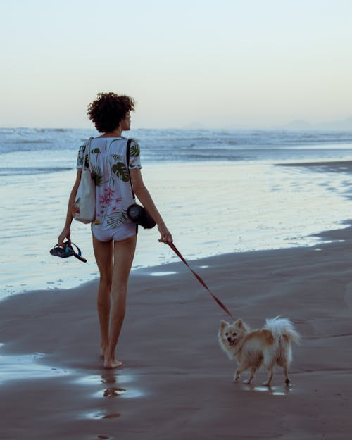 Woman Walking Her Dog on the Beach 