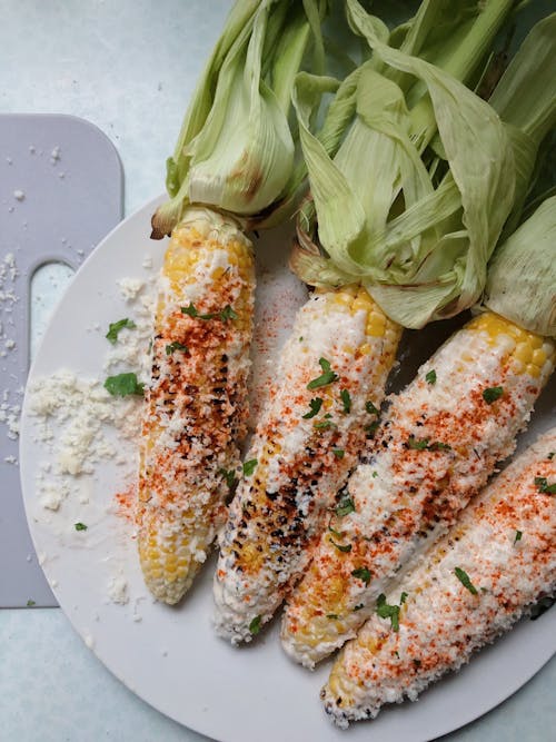 Free Corn Cobs on a Plate Stock Photo