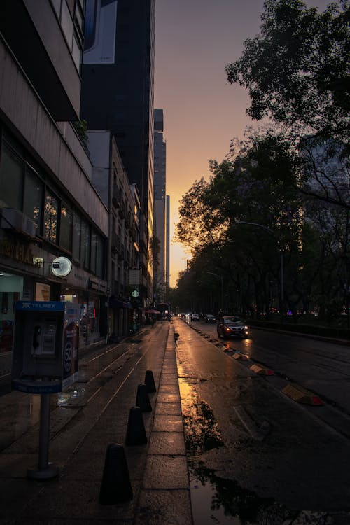 Photo of a City after the Rain at Sunrise