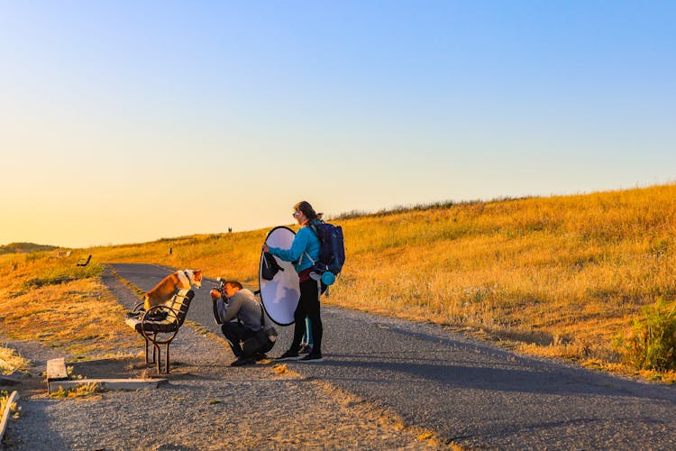 Photo Of A Photographer Taking A Photo Of A Dog Standing On The Bench 