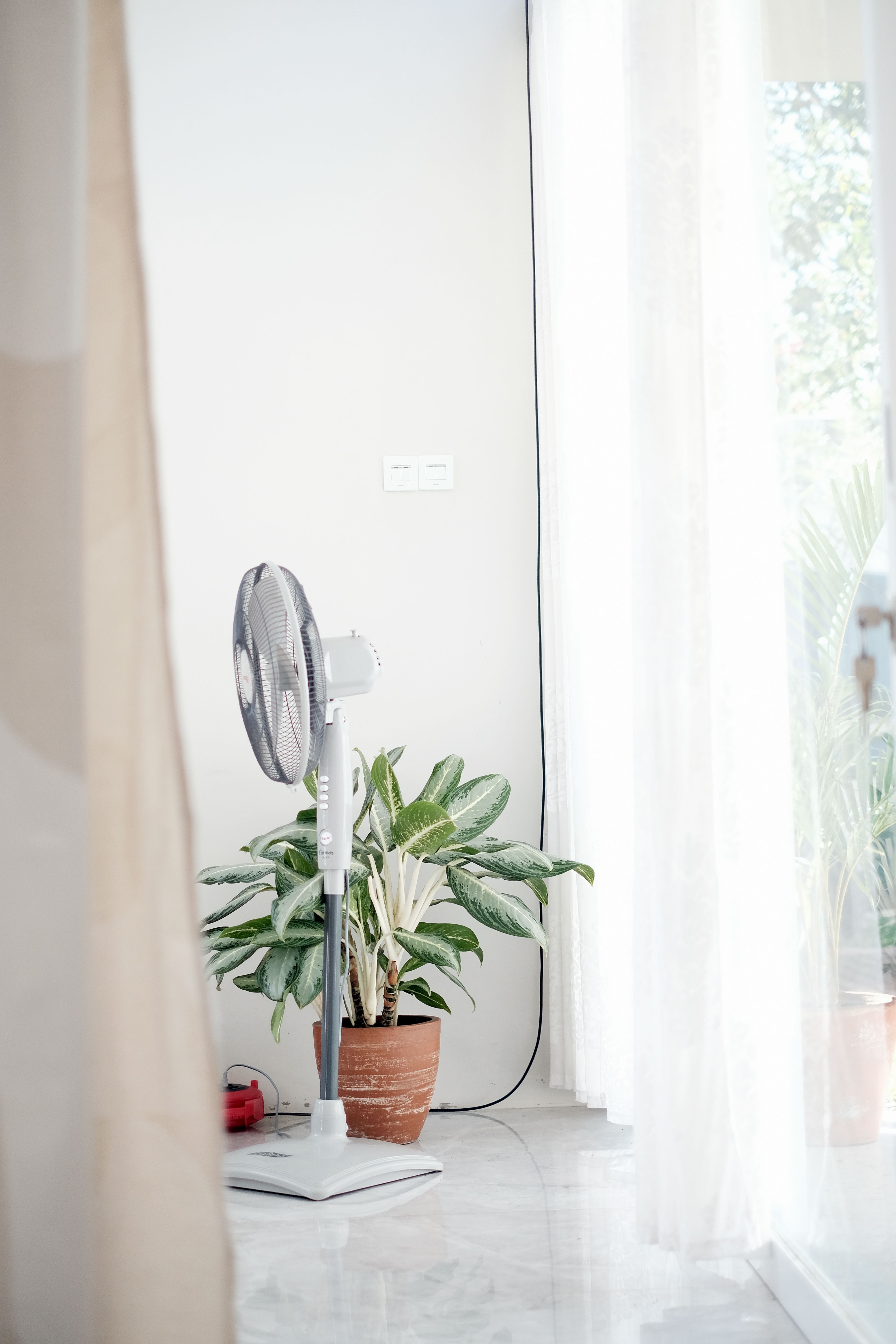 A modern minimalist interior featuring a standing fan and a potted plant near a window.