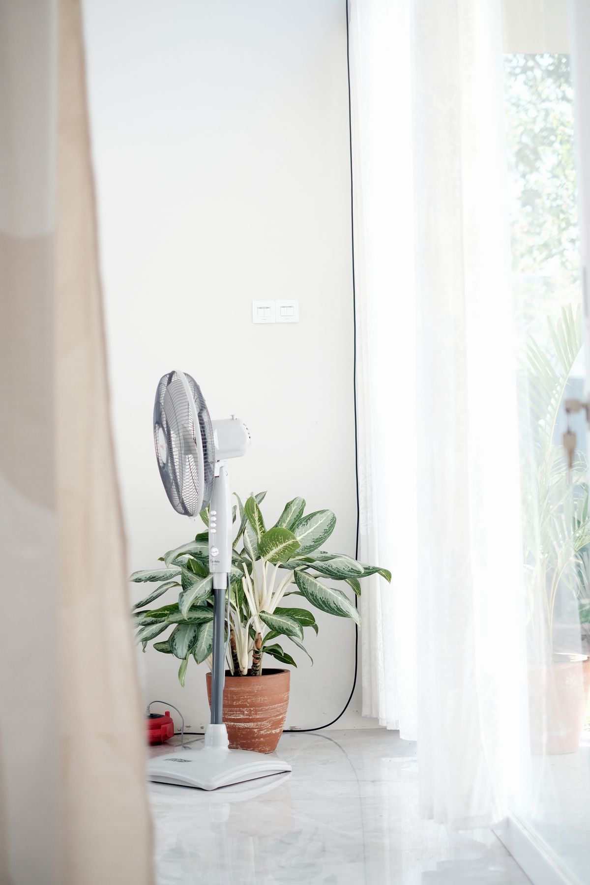 A white standing fan beside a leafy green plant in a bright, airy room with sheer curtains and daylight.