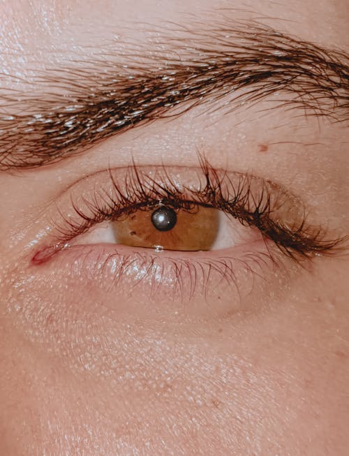 A Close-up Shot of a Persons Brown Eye