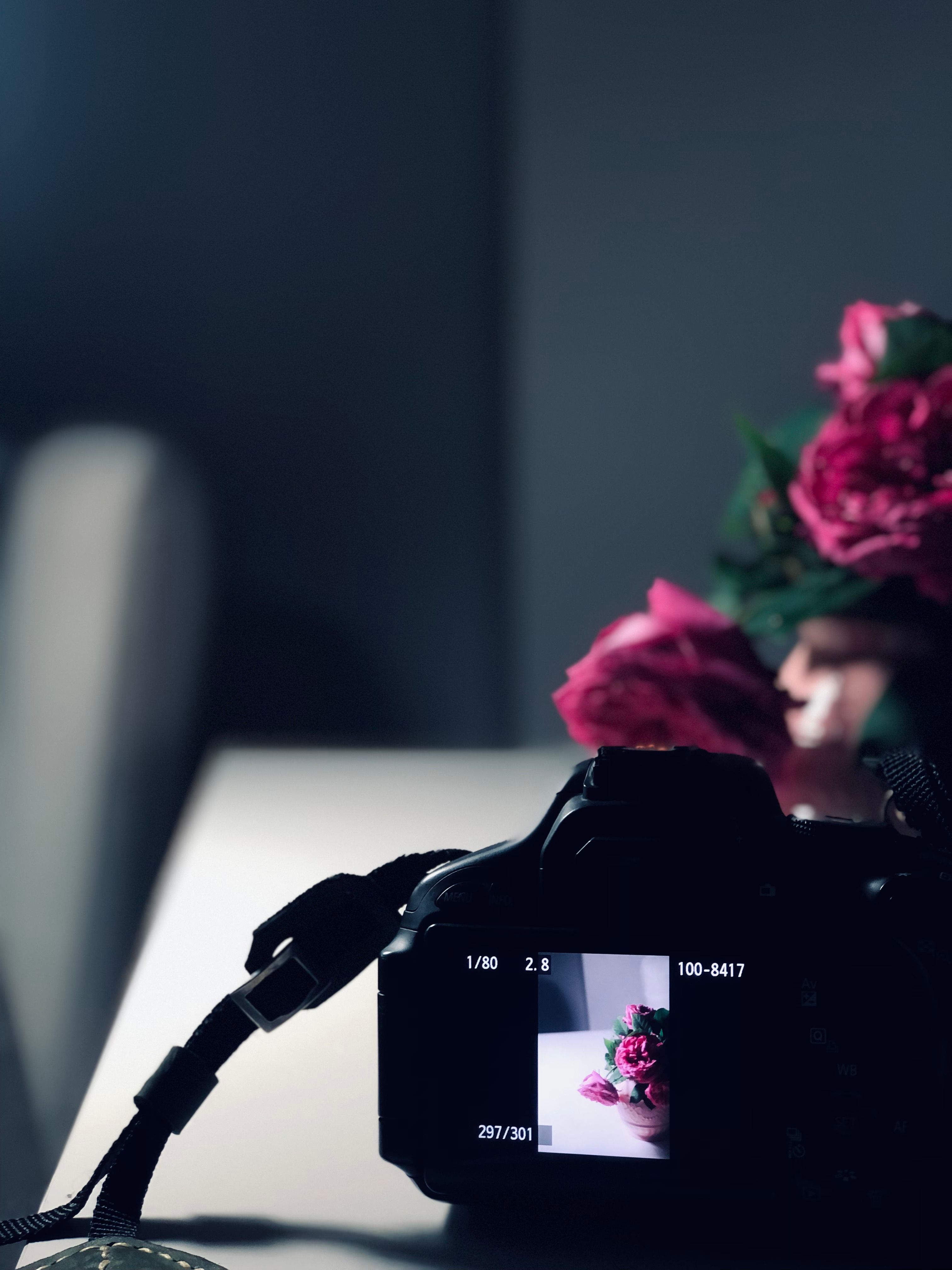 Kostnadsfria Kostnadsfri bild av belysning, bildfångst, blomma Stock foto