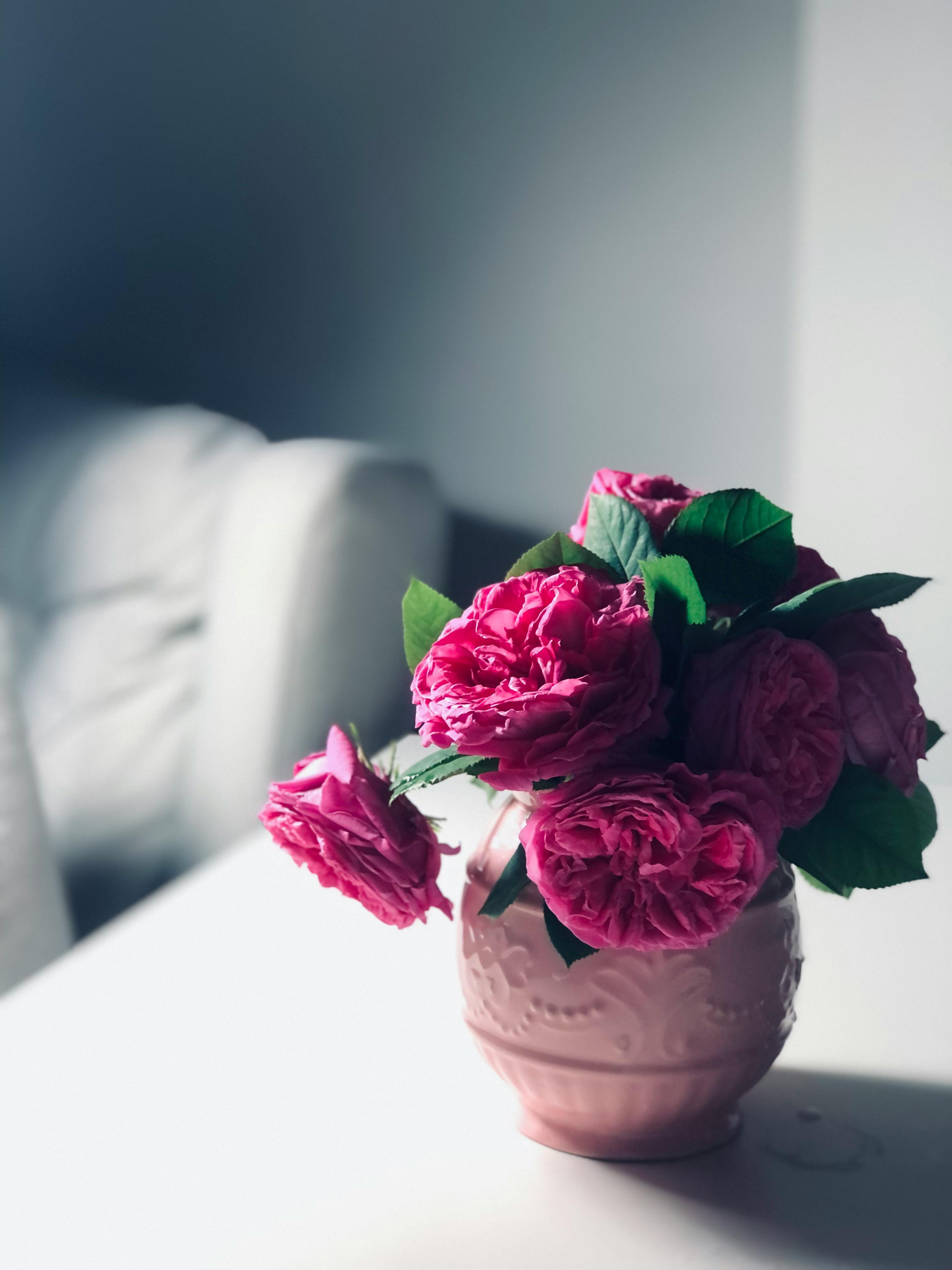 Black Roses On White Table · Free Stock Photo
