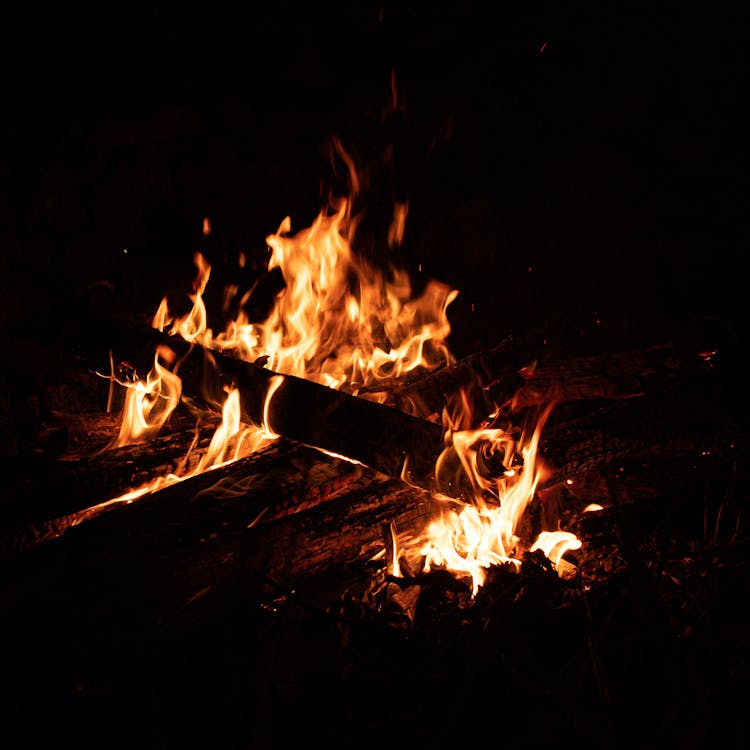Burning Woods on Fire during Nighttime · Free Stock Photo