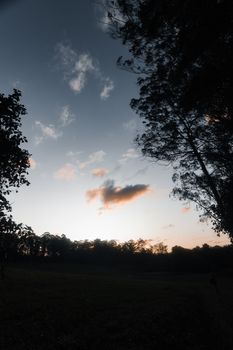 Serene twilight landscape with tree silhouettes against a colorful sky.
