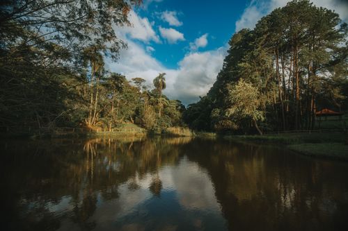 Free A tranquil forest lake reflecting the clear blue sky and lush green trees, creating a peaceful scene. Stock Photo