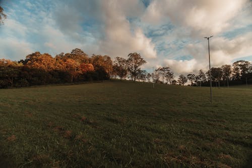 Kostenloses Stock Foto zu bäume, blauer himmel, feld