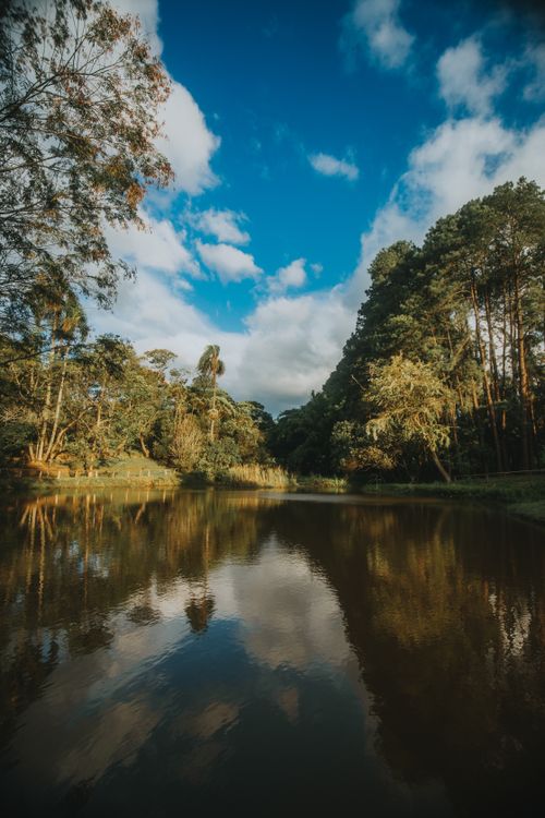 Free A tranquil scene of a lake reflecting the blue sky and trees, perfect for nature enthusiasts. Stock Photo