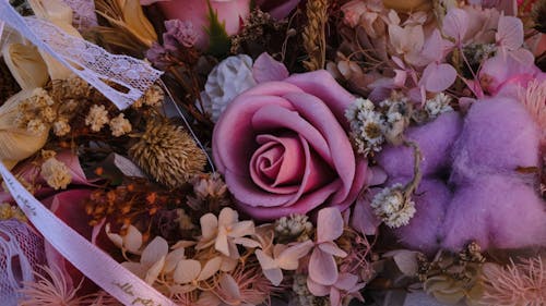 Purple Flower on Brown Dried Leaves