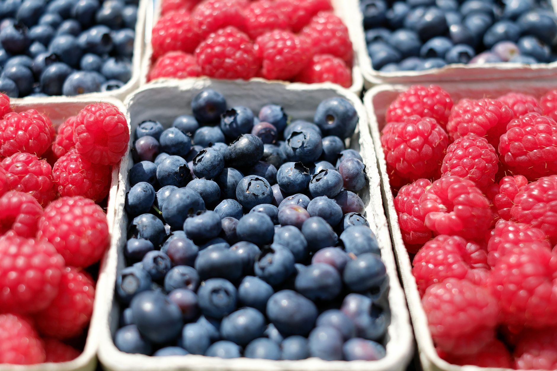 健康飲食如何強化腸道健康:關鍵益處與實踐指南 Close-up of ripe blueberries and raspberries in market baskets, showcasing fresh summer fruits.